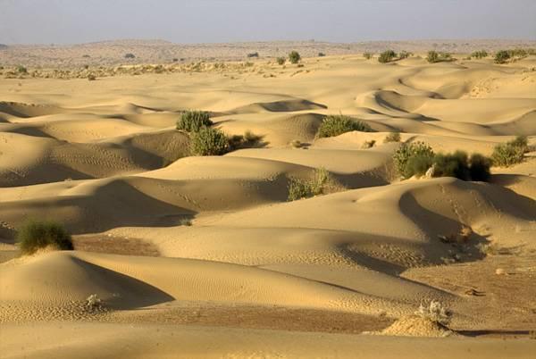 Mariyan Desert Safari Camp Sam Exterior photo